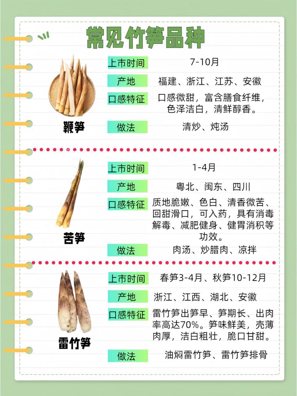 常见竹笋品种的特征与口感,快来认识下吧!