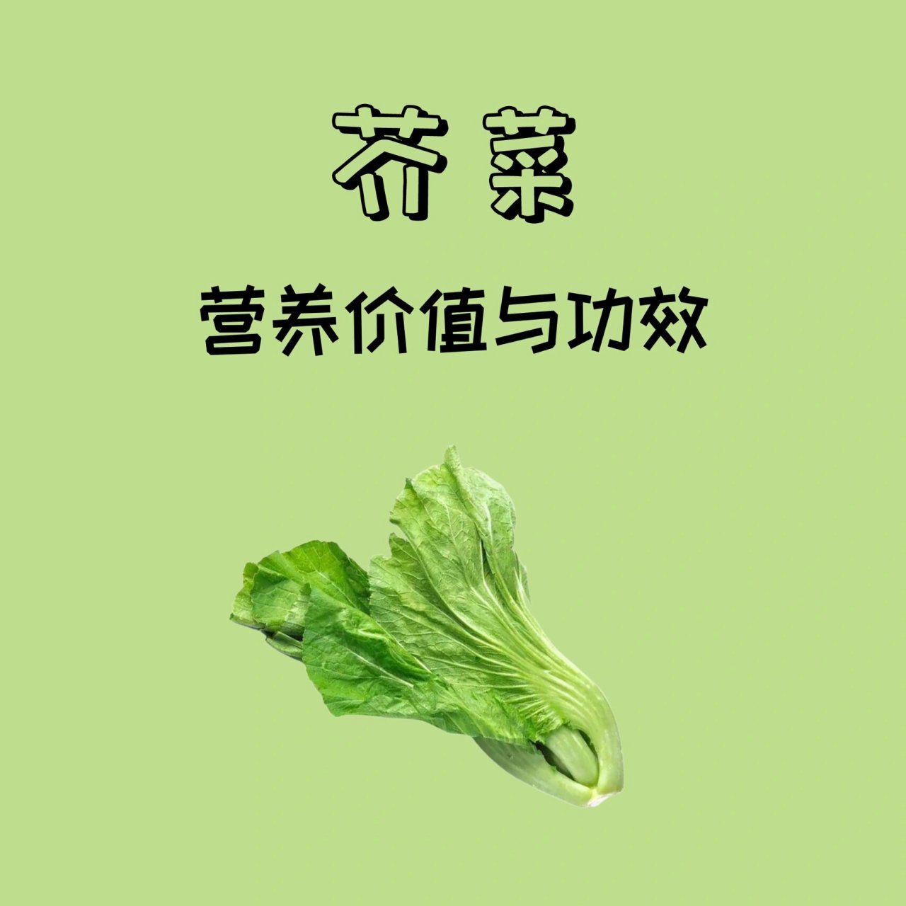 芥菜读音及图片图片