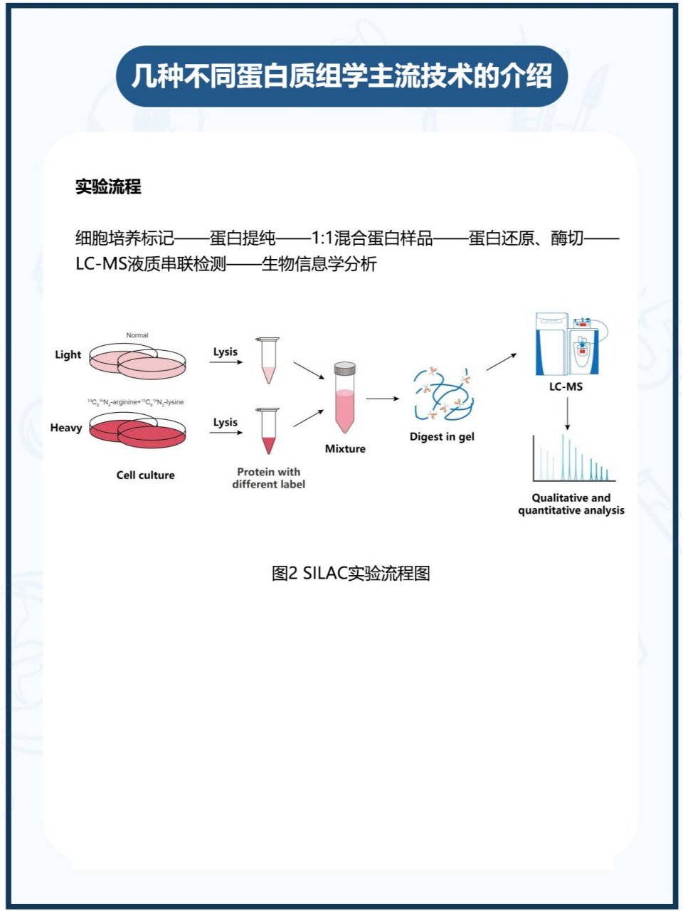 蛋白质序列，蛋白质序列数据库