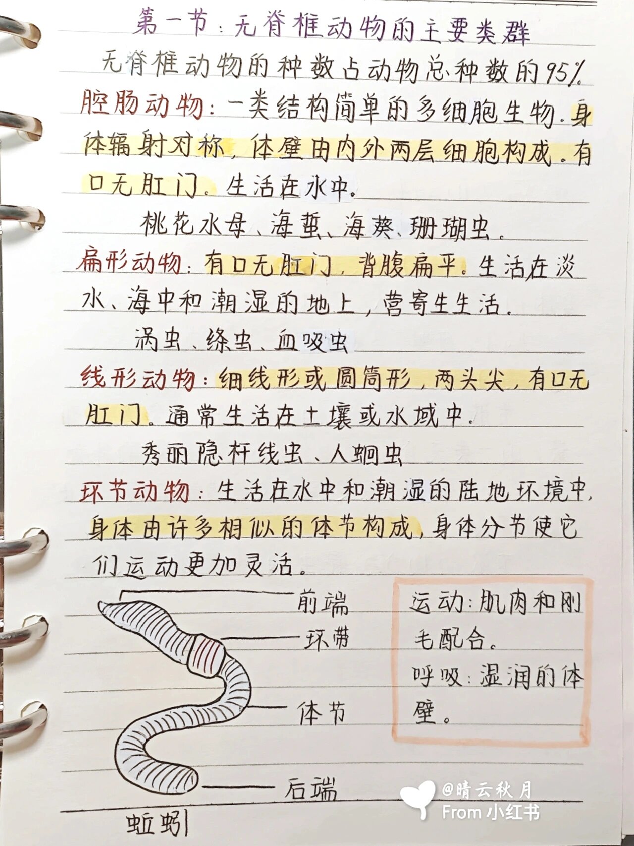 七年级上册|生物笔记