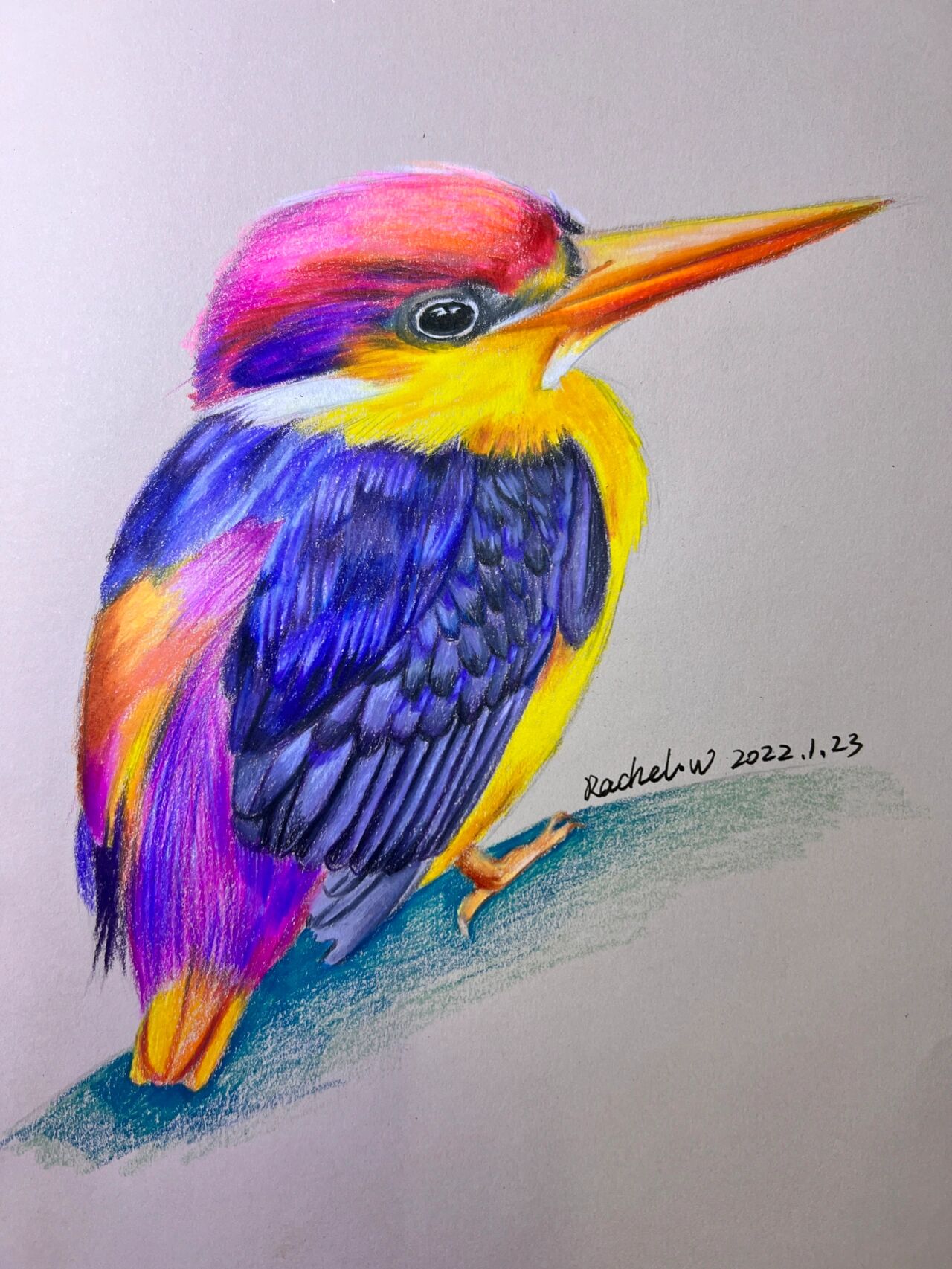 一只蜂鸟彩铅手绘画(附步骤