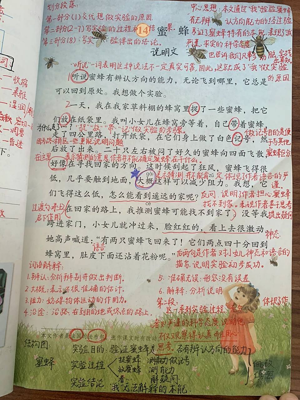三年级语文下册第14课《蜜蜂》笔记   新的一周 一定要元气满满的 好