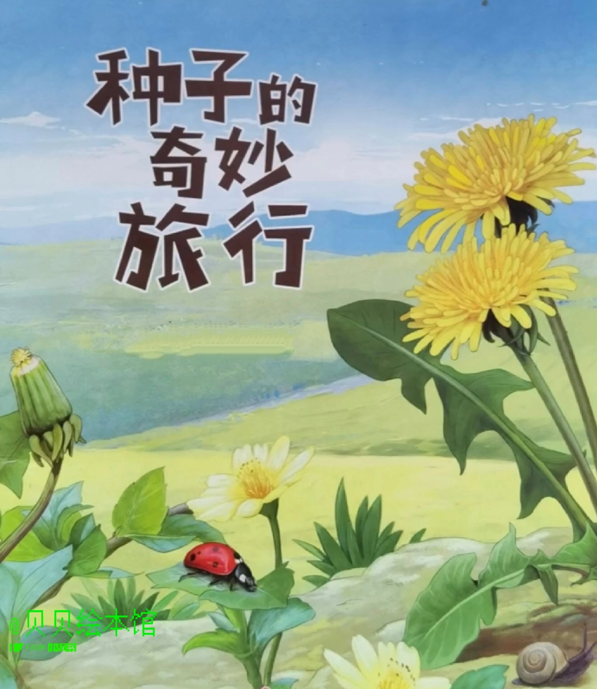 植物繁衍方式科普绘本《种子的奇妙旅行》