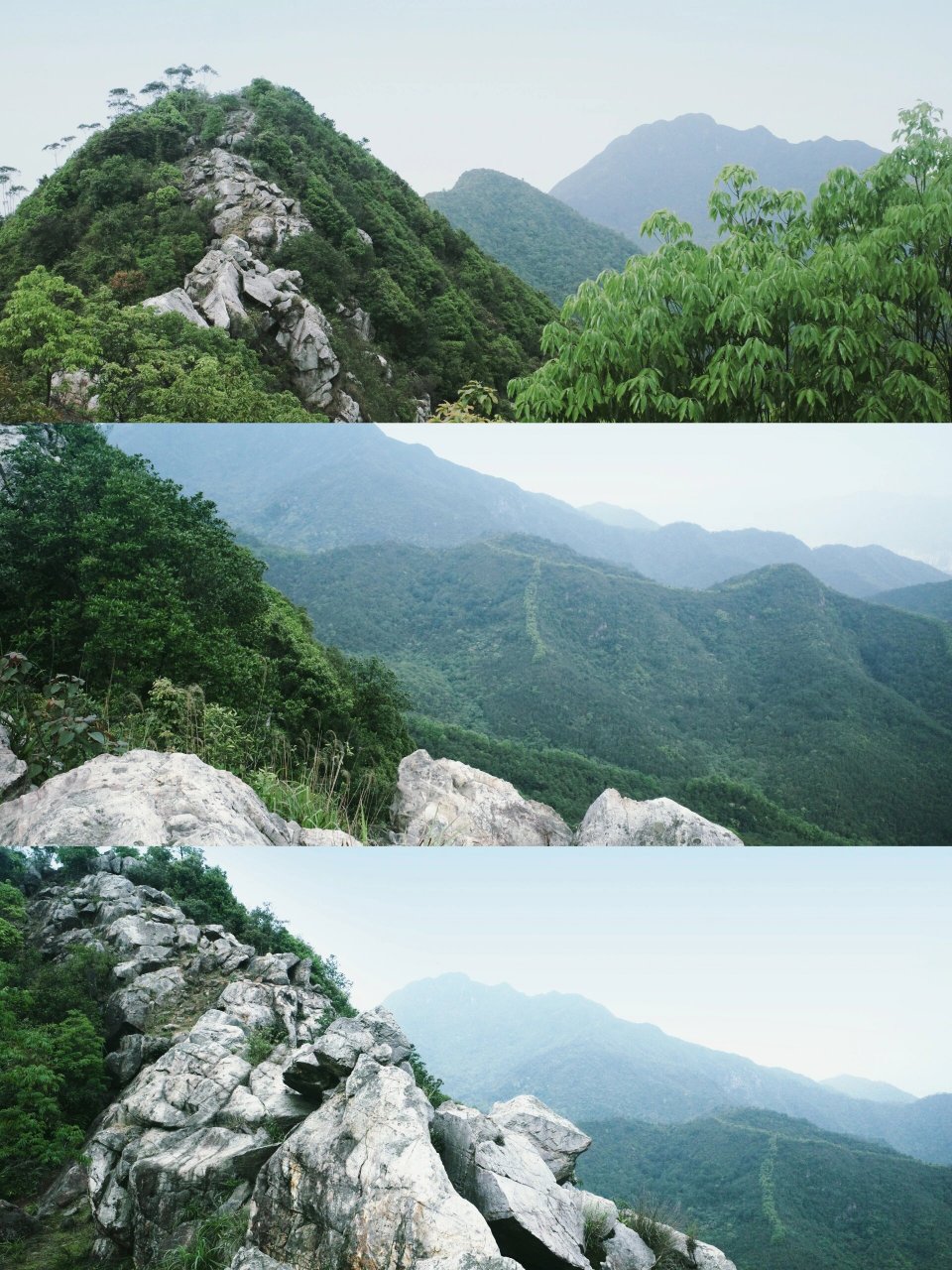 肇庆喜欢爬山的给我冲——小鸡笼山 鼎湖有两座著名的山峰,被称为肇庆