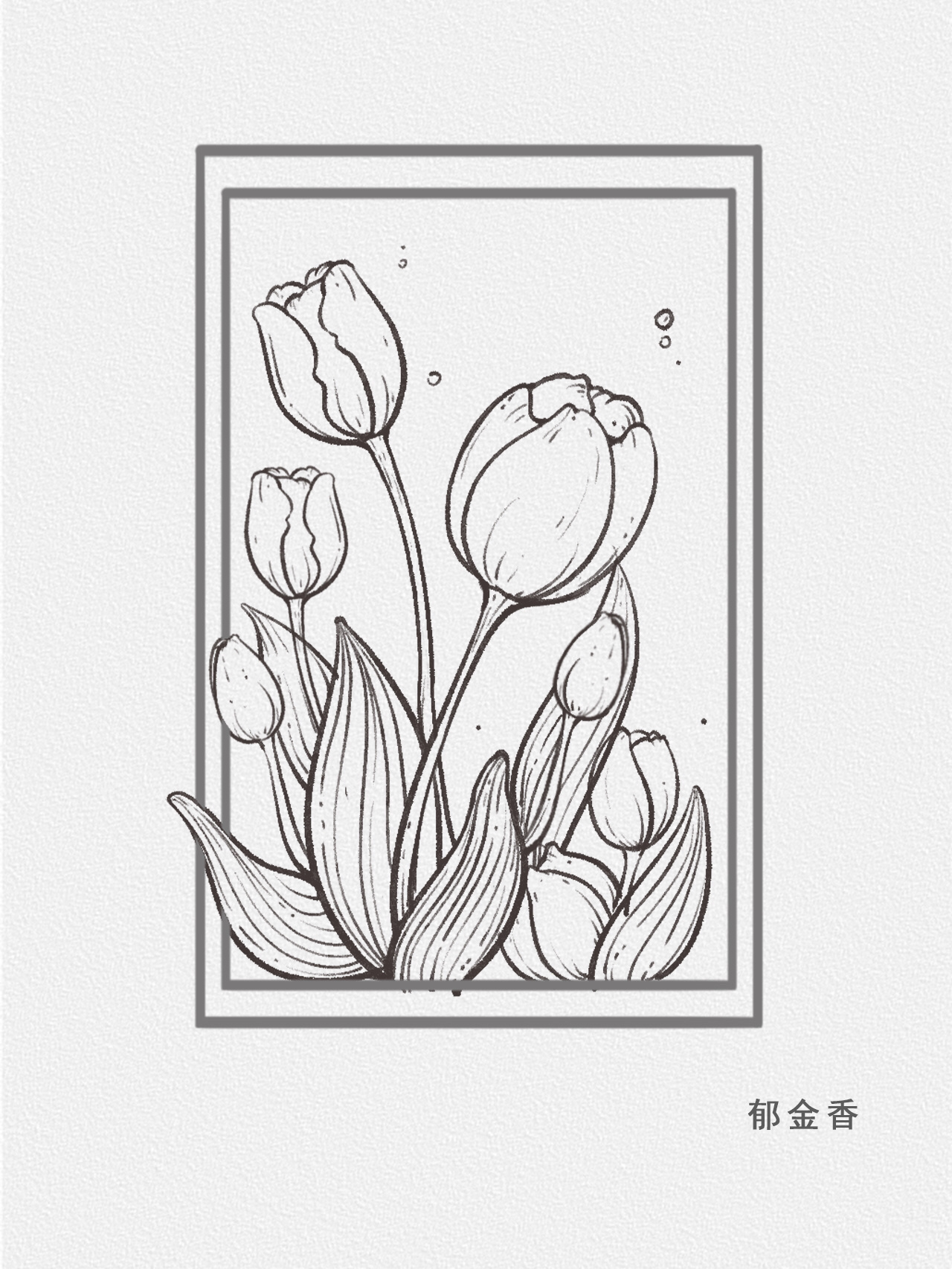 画画日常 | 第二波花卉线稿合集94