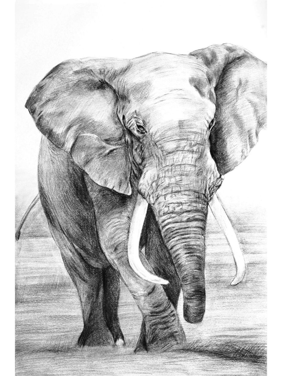 精微素描-大象‖象(有步骤) 适合9岁以上 作品纸张: 4k 步骤: 1,用