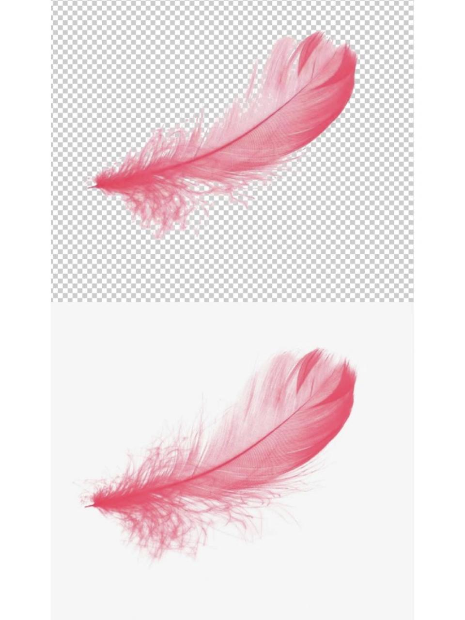 ps训练6 通道抠图 又快又准确的通道抠图方式 下面是通道抠图的步骤