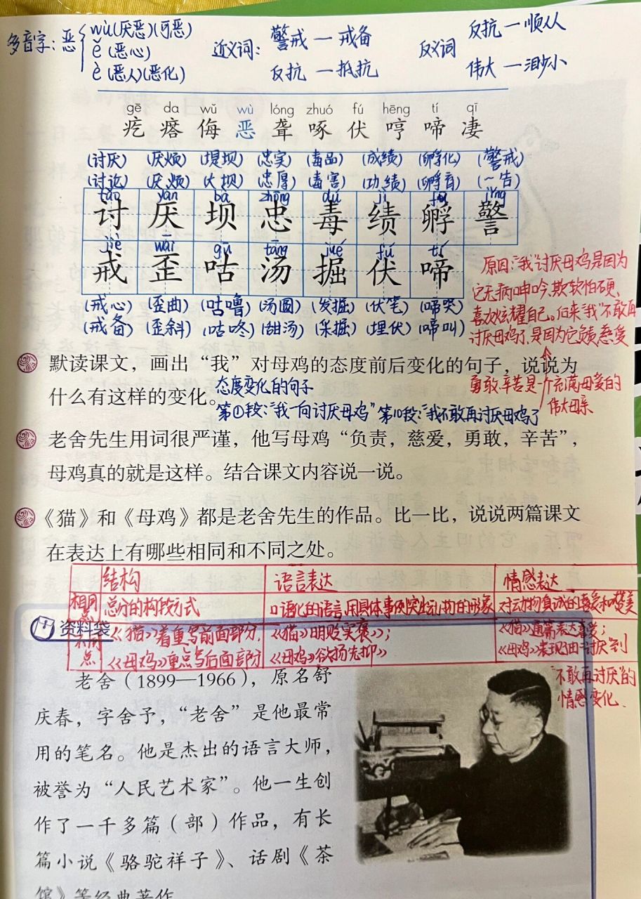 四年级下册语文第14课《母鸡》预习