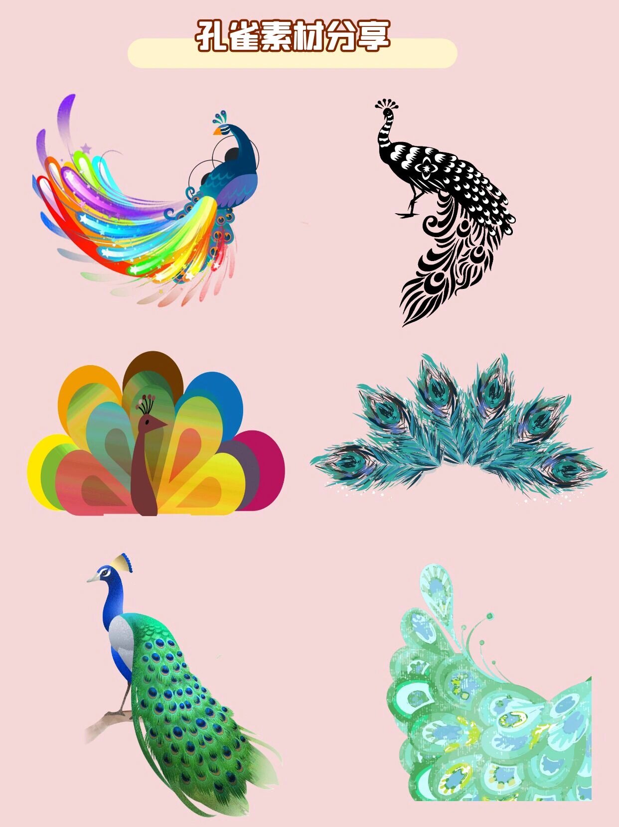 美丽的孔雀 免抠素材分享 孔雀开屏,吉祥如意.