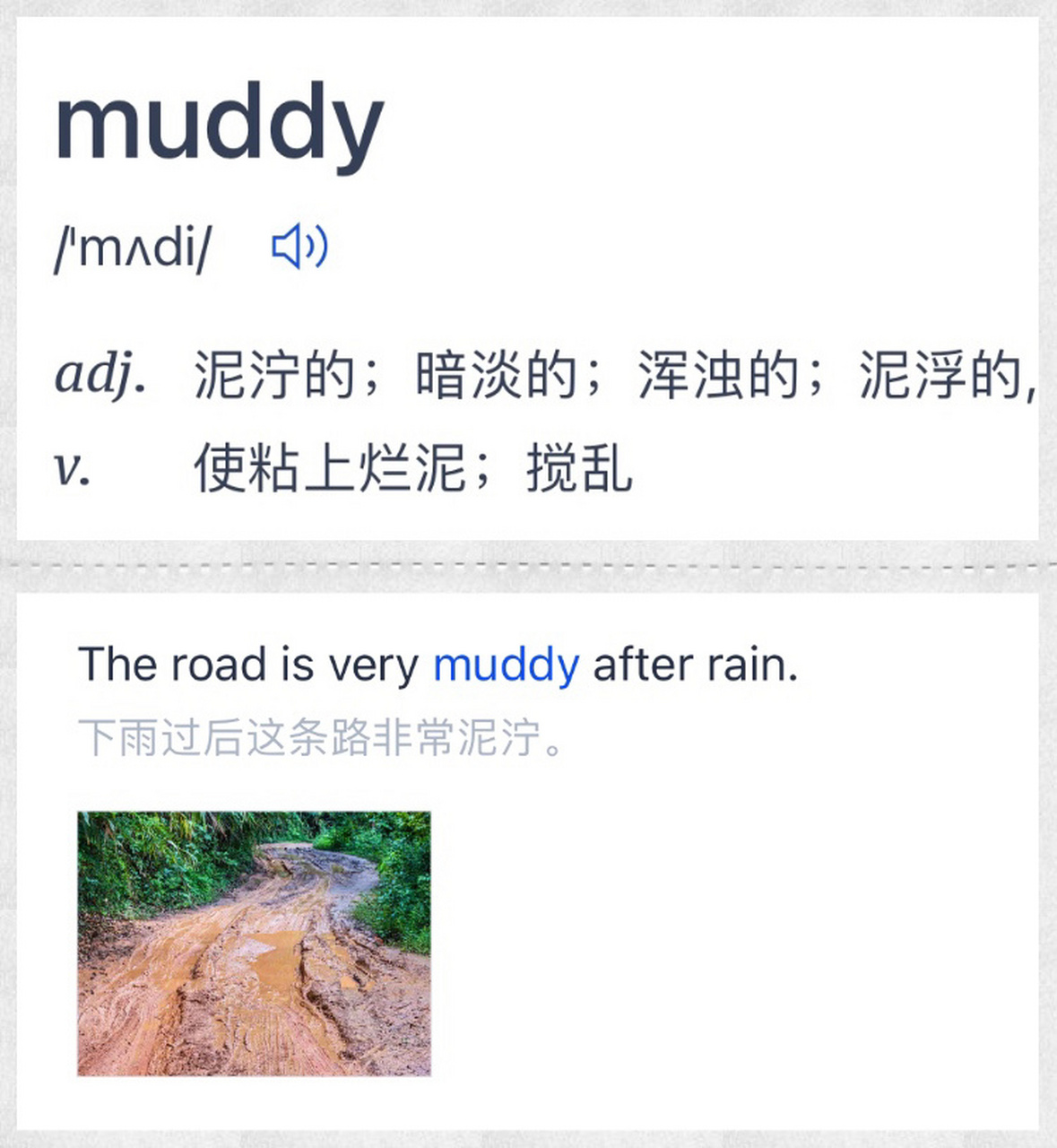 muddyshoes图片