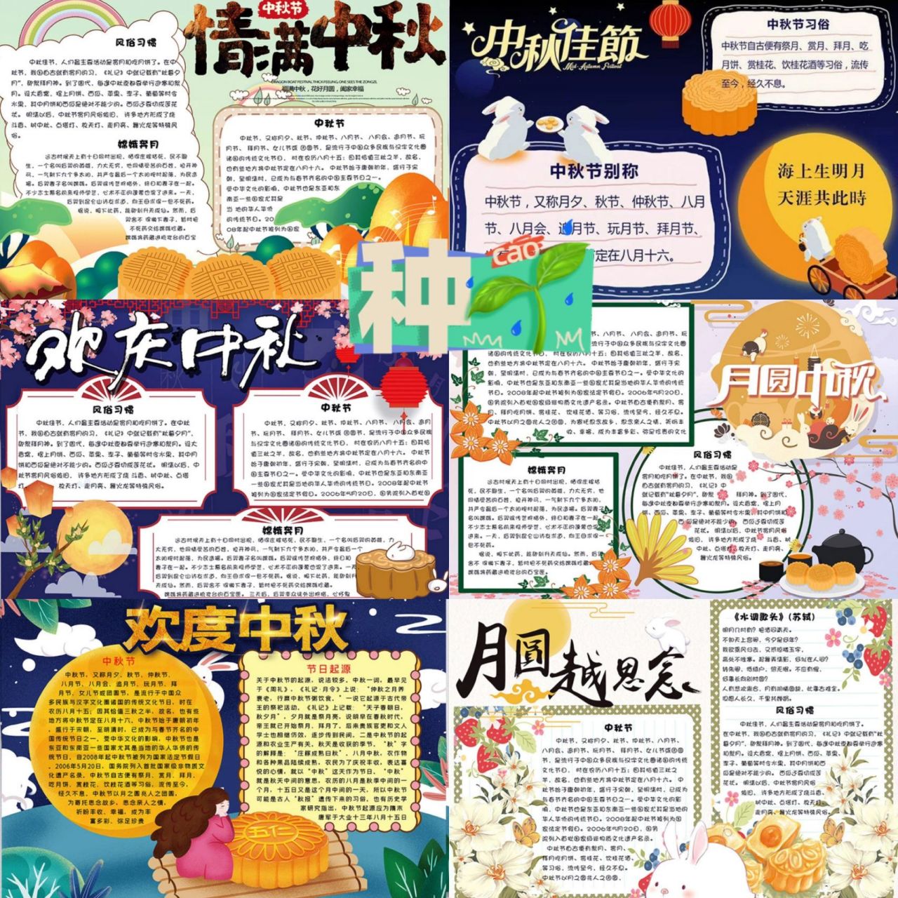 各种电子板报来看看吧!