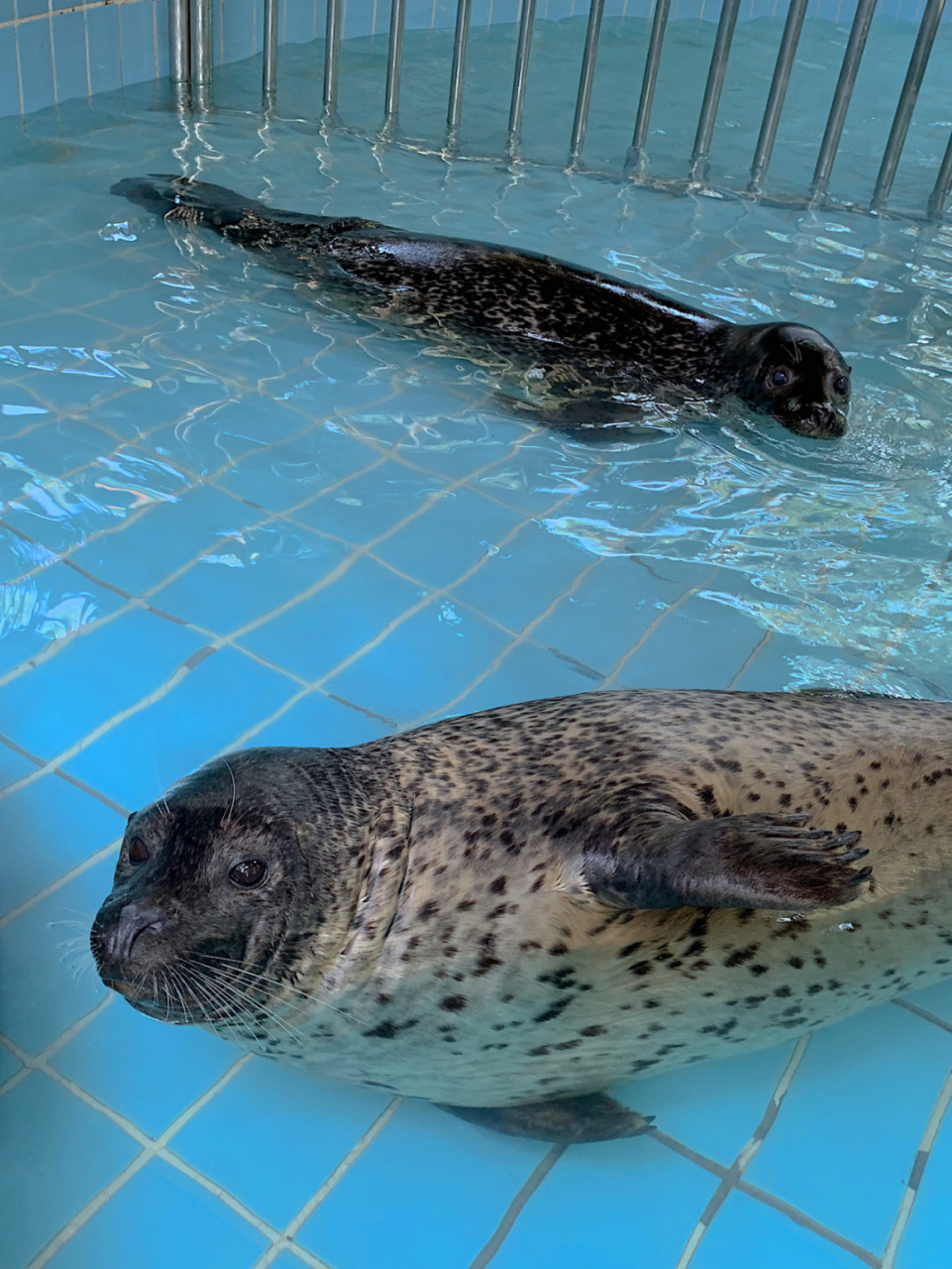 名字:武汉飞鸟世界 地址:武昌区沿湖大道20号(东湖梨园左侧) 门票:100