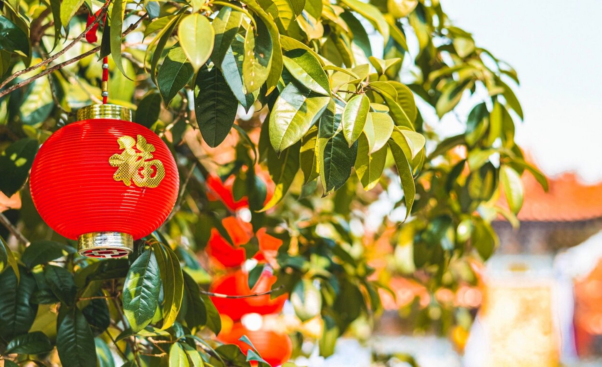 嘉禾县普济寺掠影