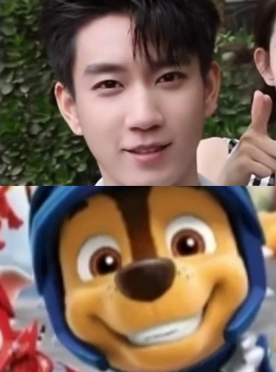 哈哈哈哈哈你觉得王子奇是更像图图爸爸,还是阿奇,又或者健康哥哥