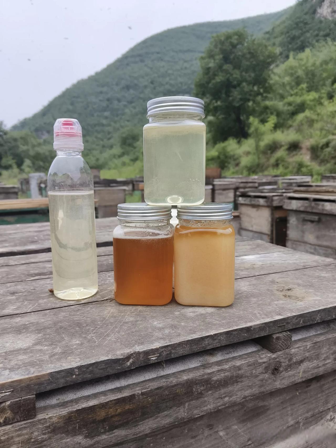 掺了白糖的蜂蜜结晶图片真实(掺了白糖的蜂蜜结晶图片真实大全)