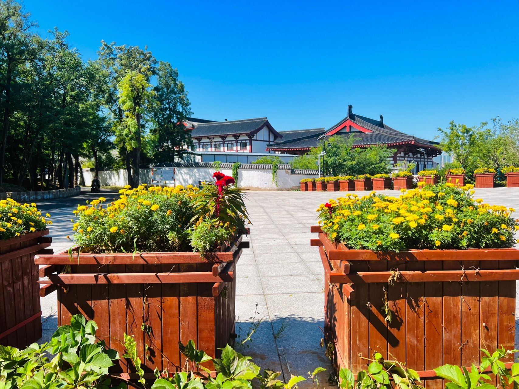 唐山工业博物馆和大城山公园|超级绿道相连 2023-8-29