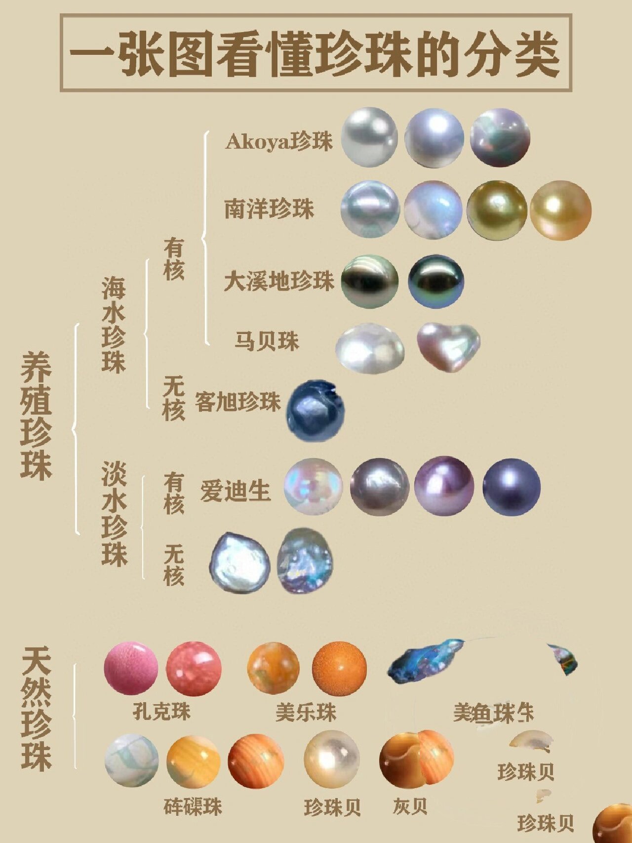 一张图看懂珍珠分类