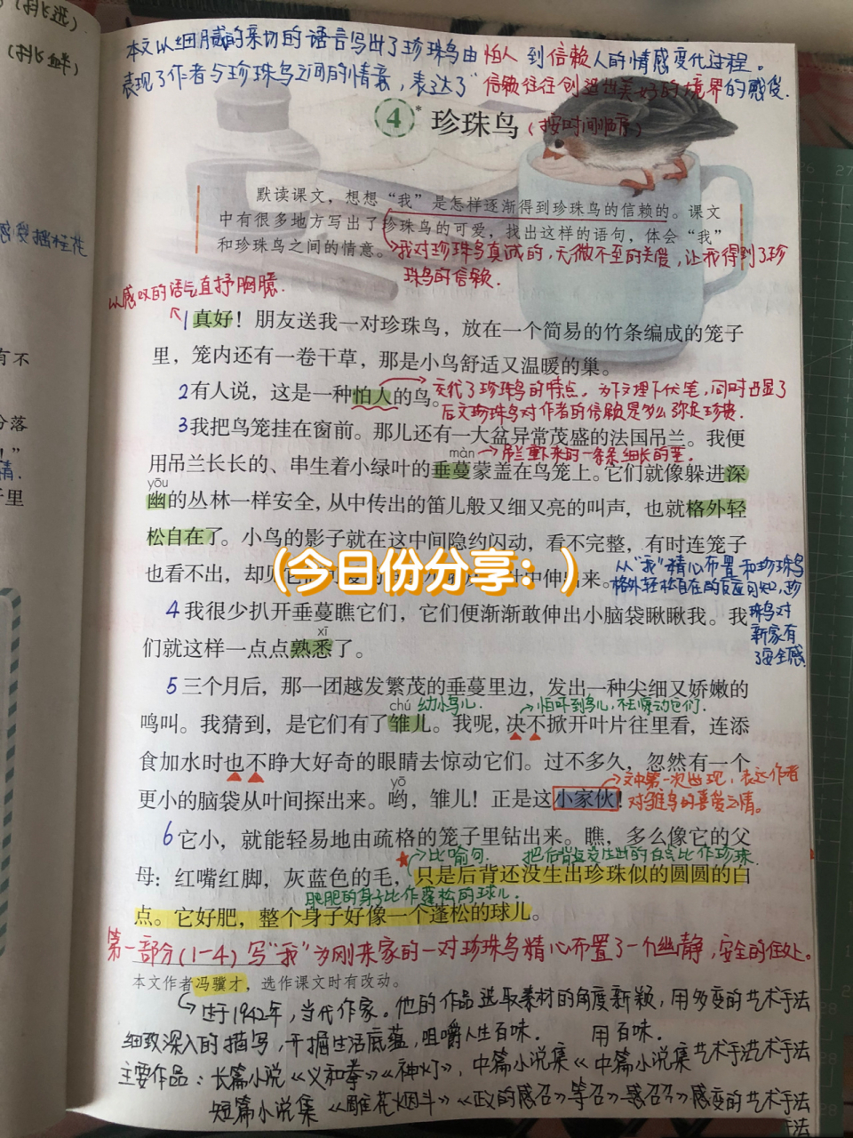 五年级上册语文第四课《珍珠鸟》笔记