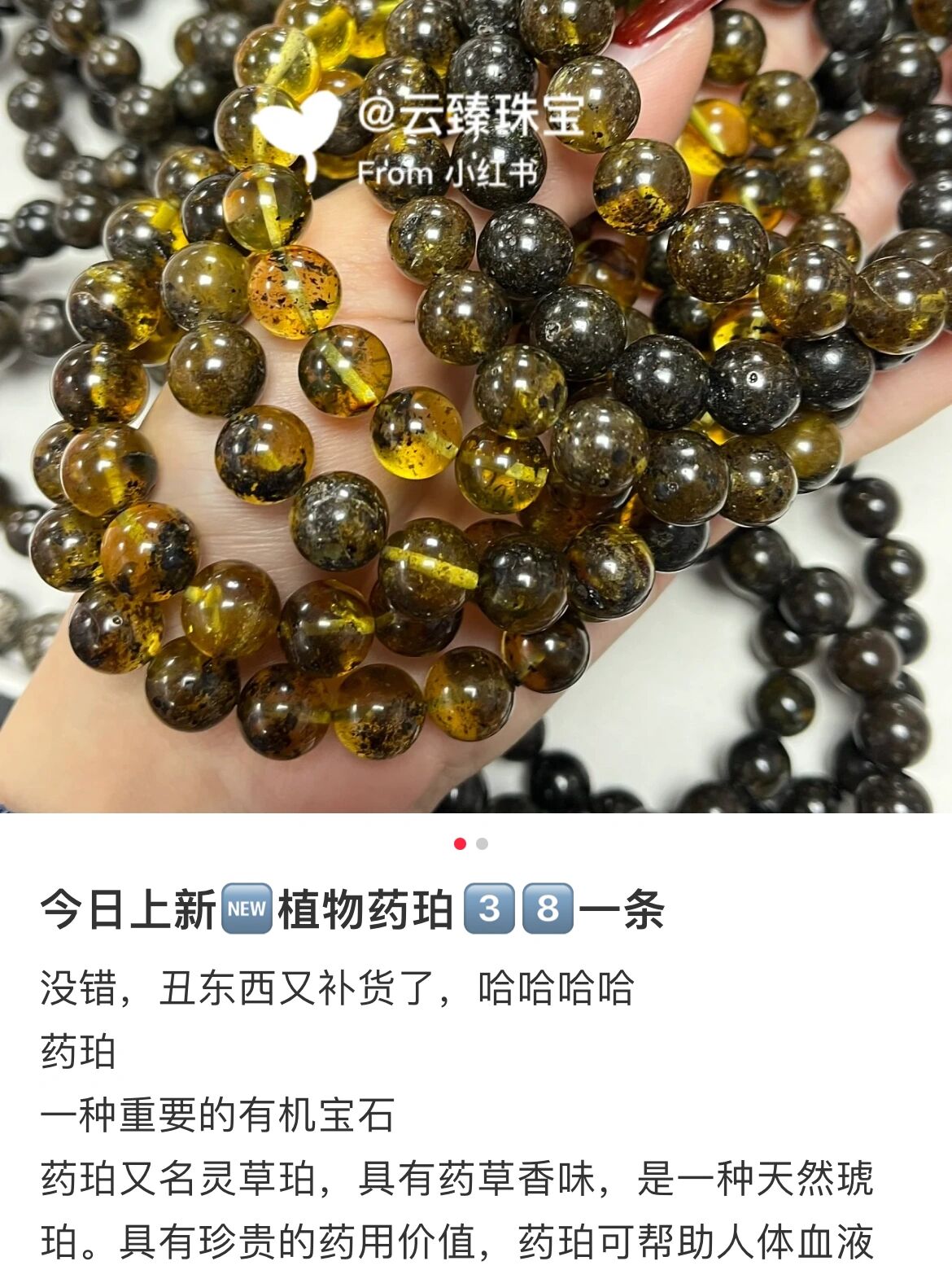 植物药珀38一条 丑东西又补货啦.