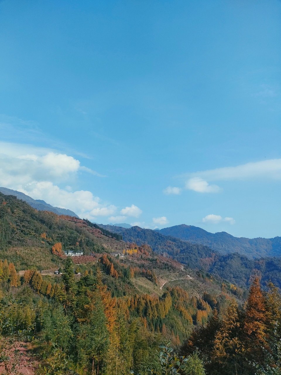崇州金凤山 导航:秋水山房(可停车露营) 当日徒步走的环线,两步路搜索