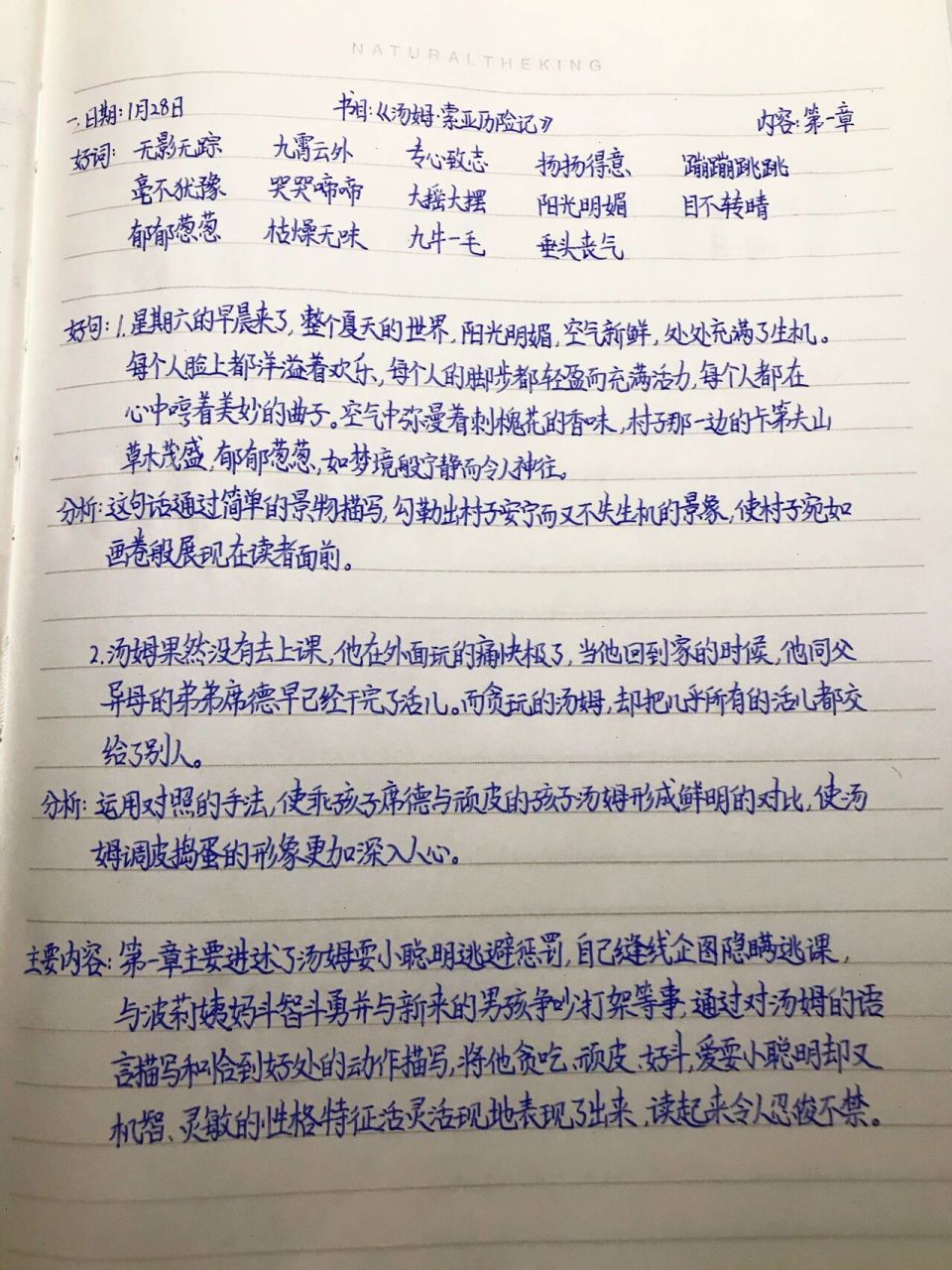 98《汤姆·索亚历险记》读书笔记  第一章95