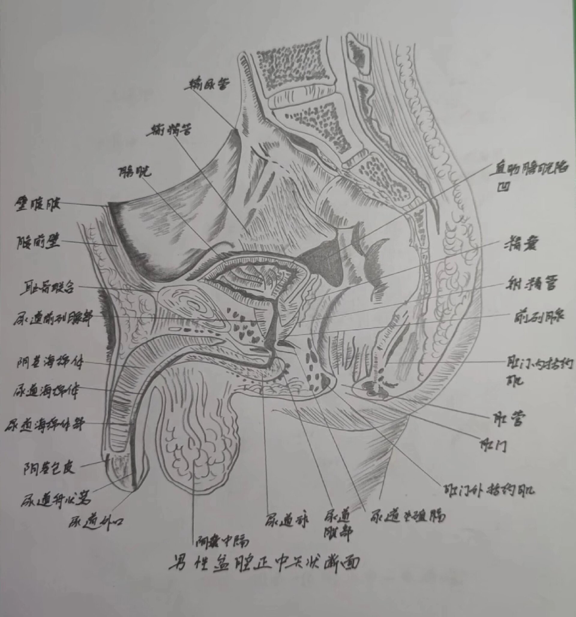 横断面图怎么画手绘图片