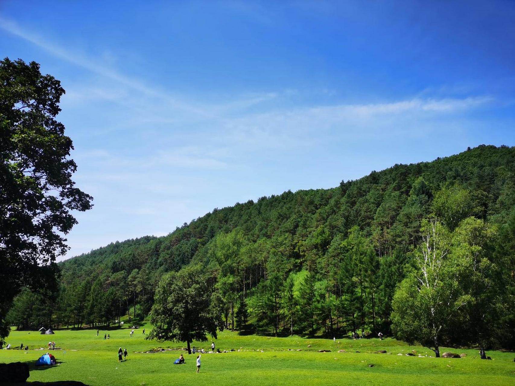 伊春金山鹿苑,自然环境还是保护的不错.