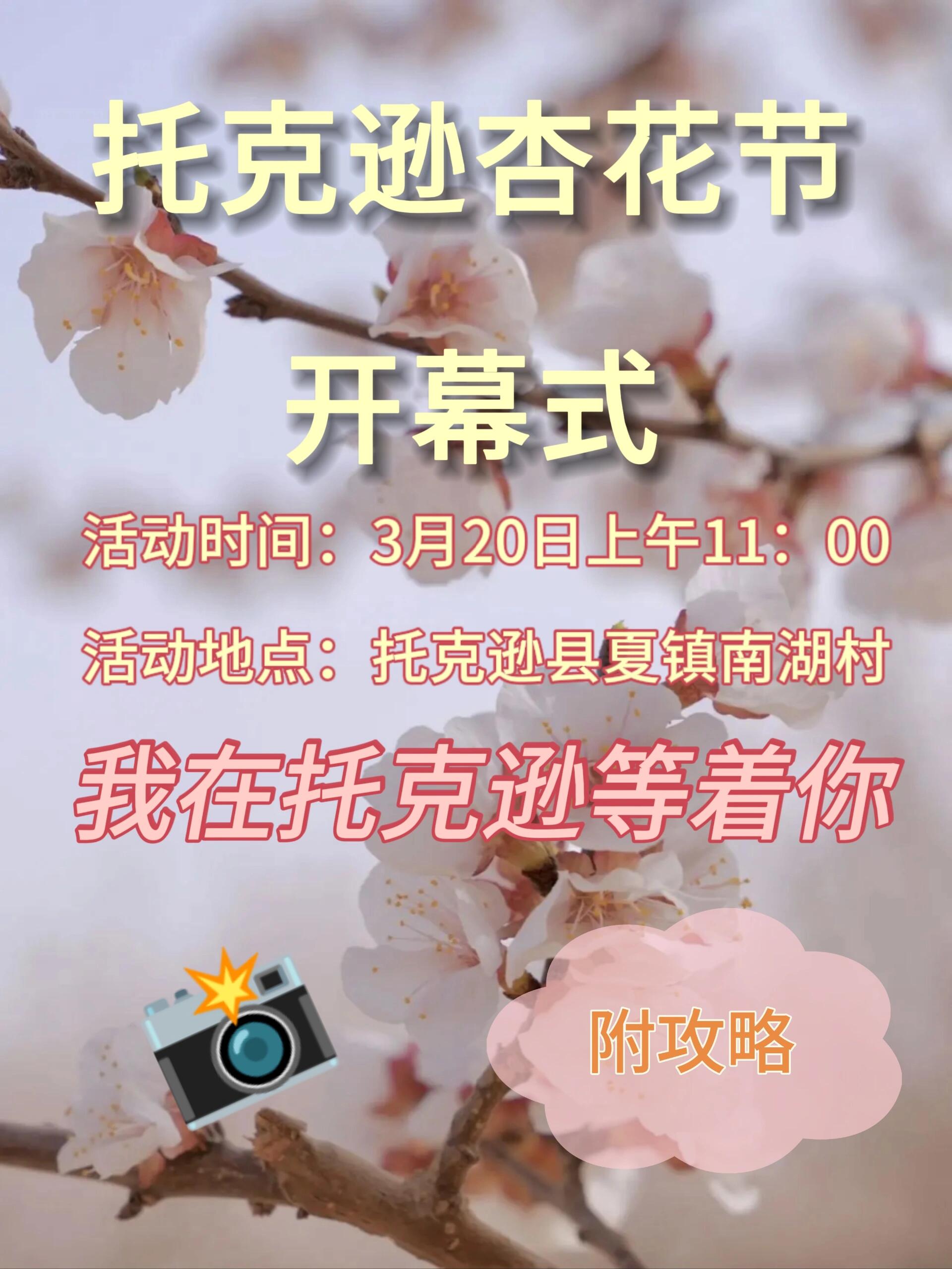 去杏花节游玩的朋友,攻略来了 开车路线:先导航"托克逊南湖杏花村",离