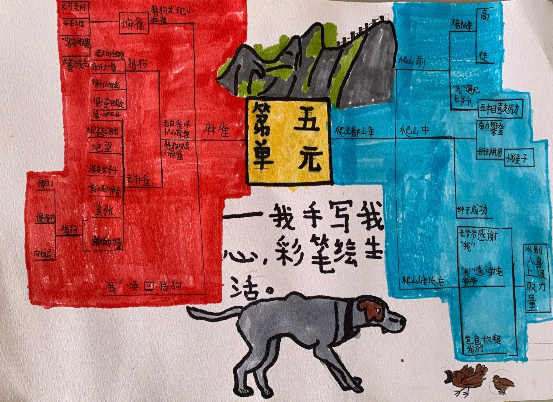 部编版四上第五单元思维导图