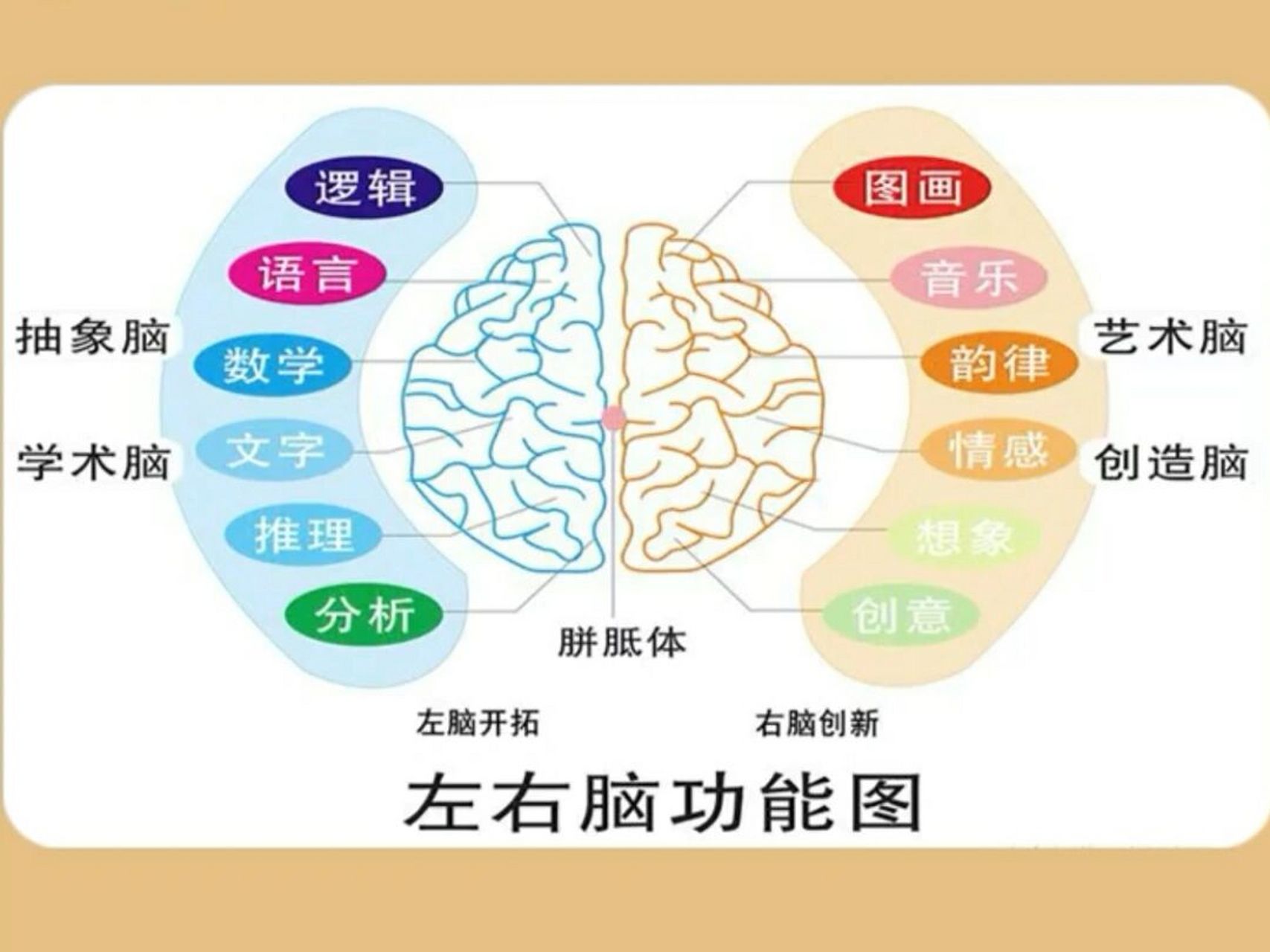 左脑产生的思维虽然缜密,但难免会死板,缺乏变通.