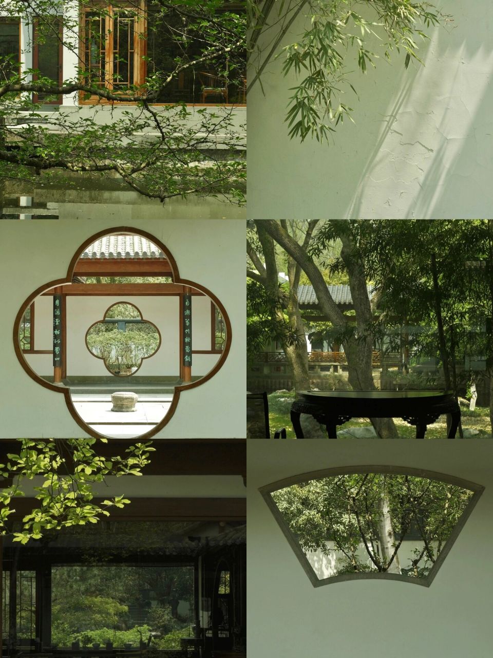 云松书舍好雅啊!我觉得好精致! 不想人挤人就来这儿吧!