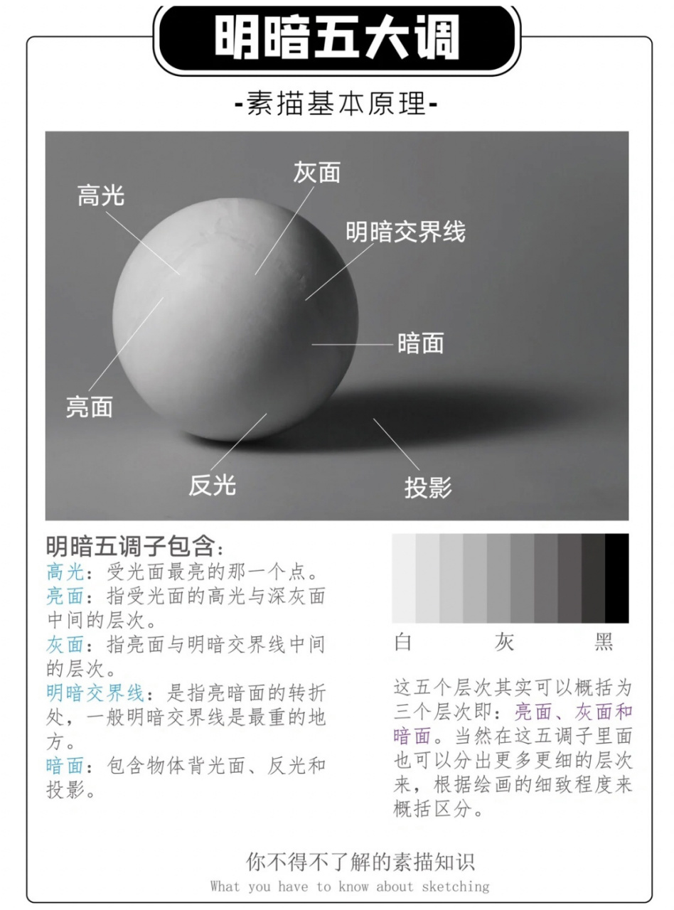 素描基础知识汇总
