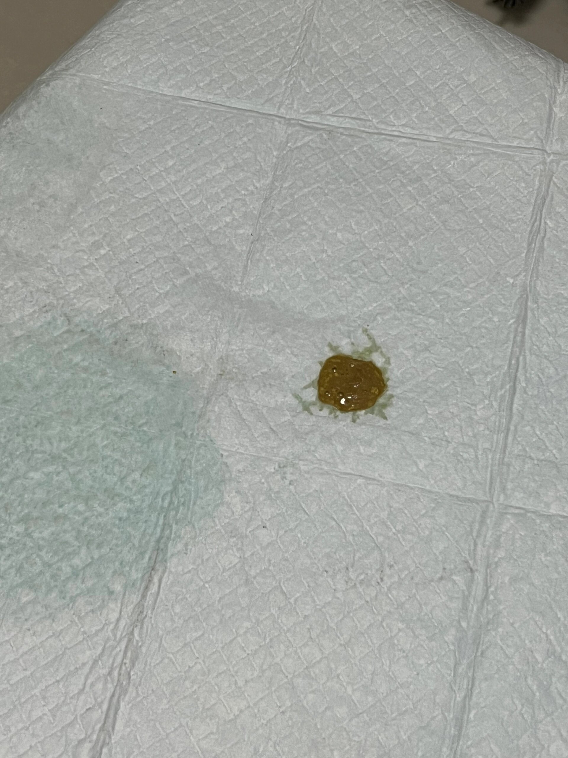 没满月的小狗拉稀