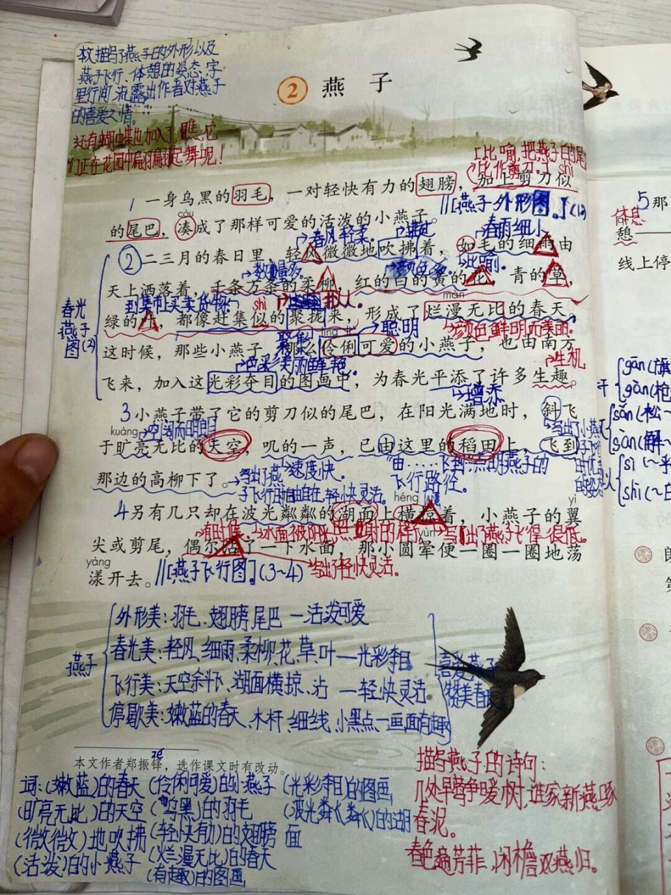 三下语文《燕子》学生笔记 欢迎大家指正 #小学语文# #三年级语文