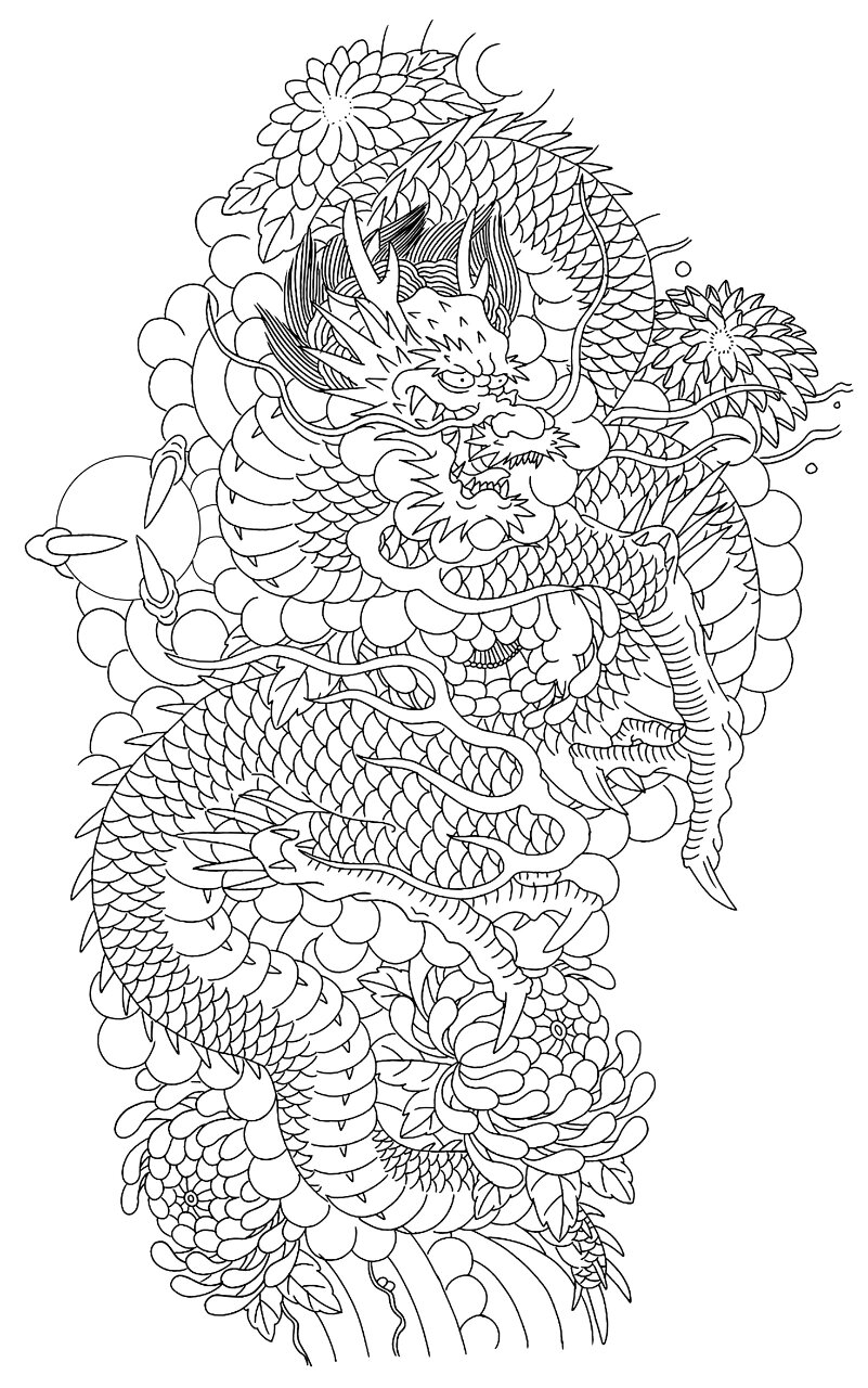 盘腿龙手稿