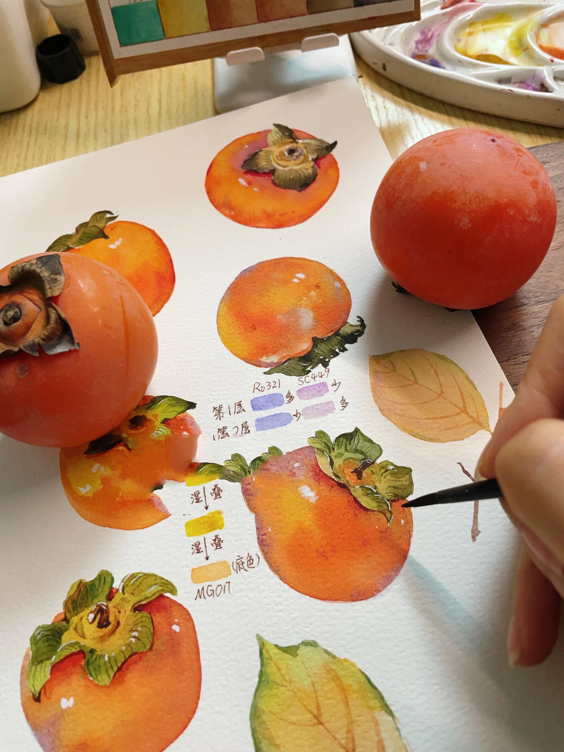 水彩 | 脱稿柿子