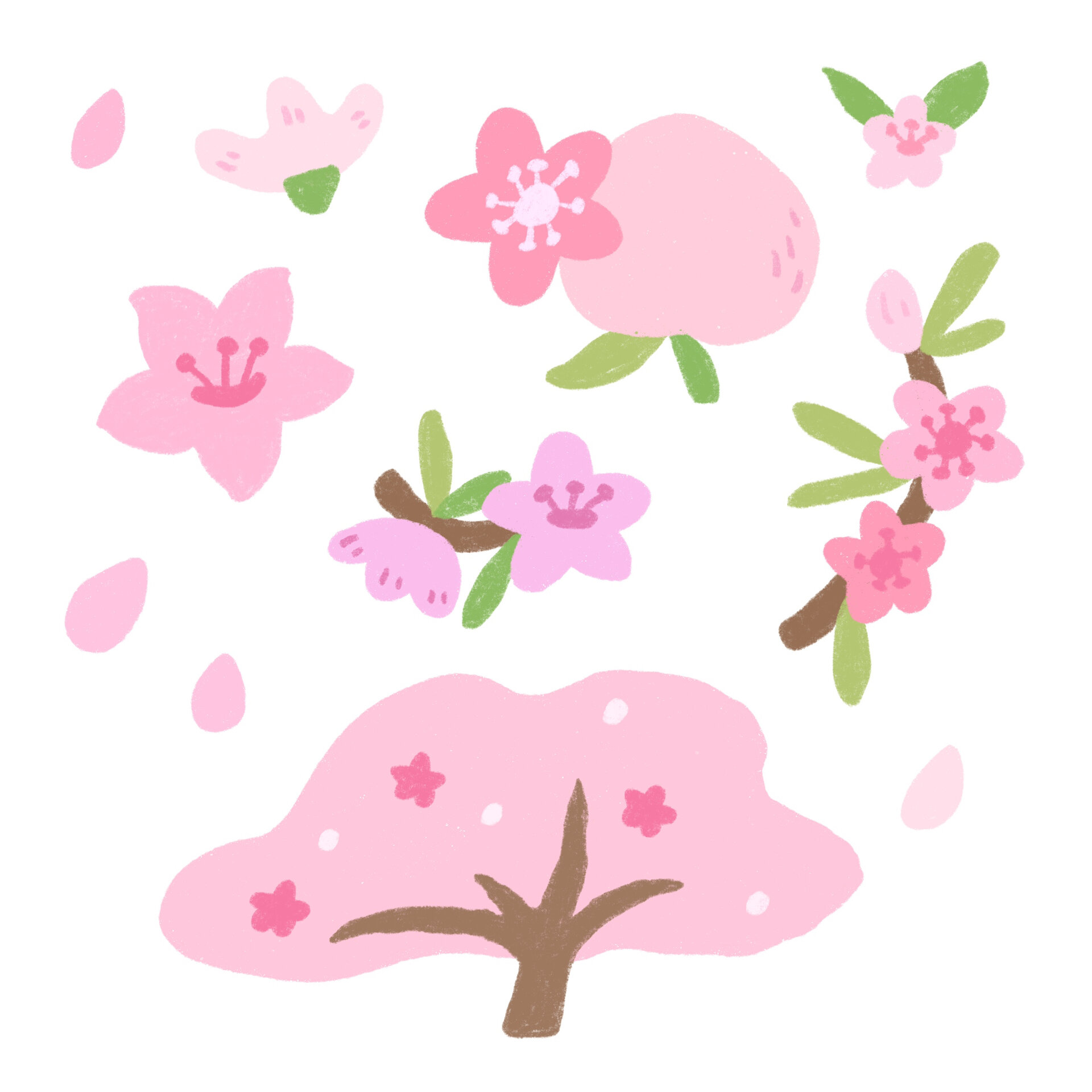 手绘素材分享～桃花桃树