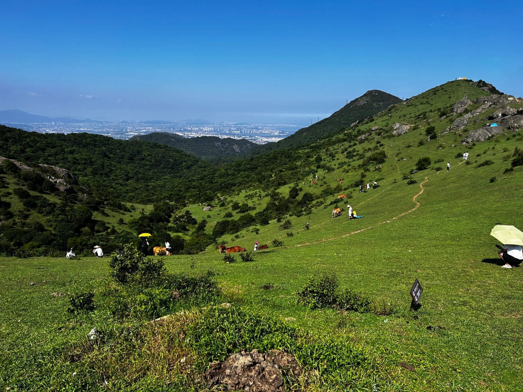 福清大姆山风景区图片