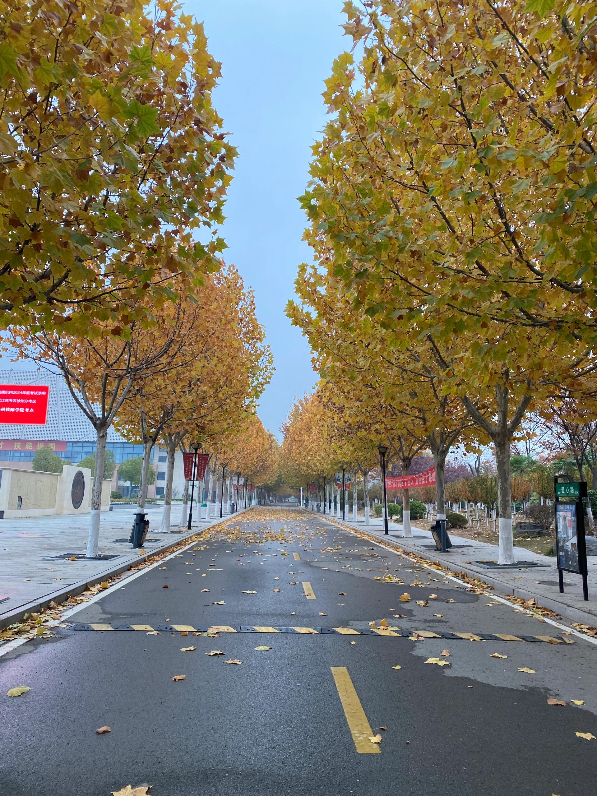 去考试 发现技师学院的风景好美,饭也很便宜