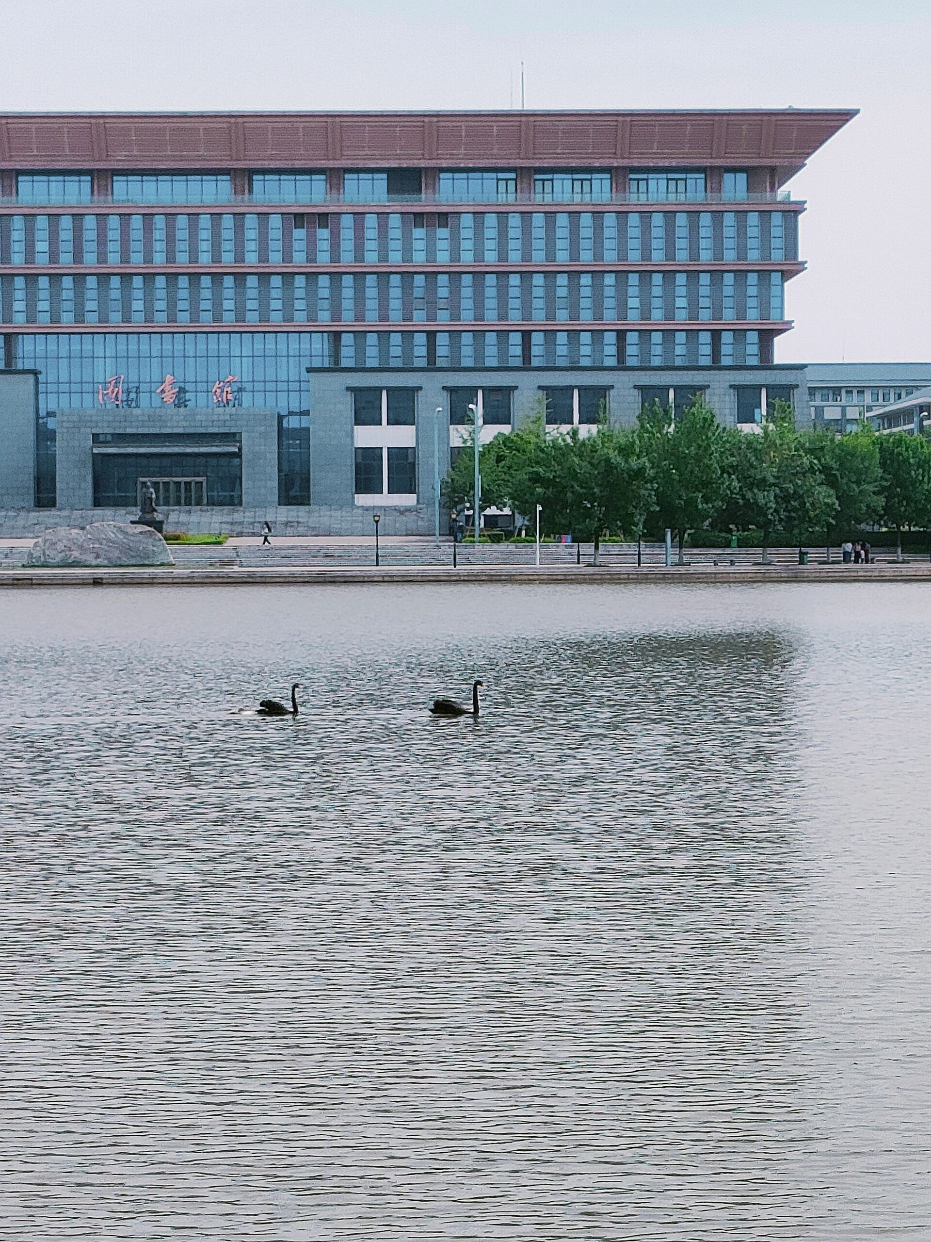 欢迎报考洛阳师范学院