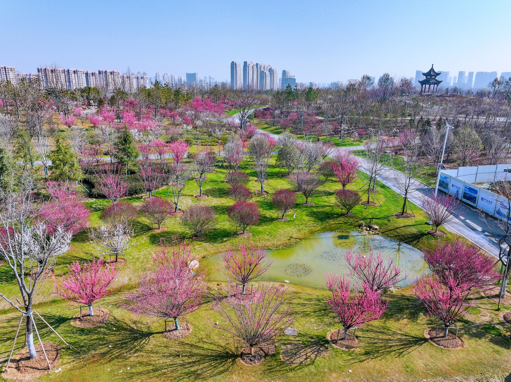 骆岗机场要打造成世界最大的中央公园啦～合肥骆岗中央公园面积相当大