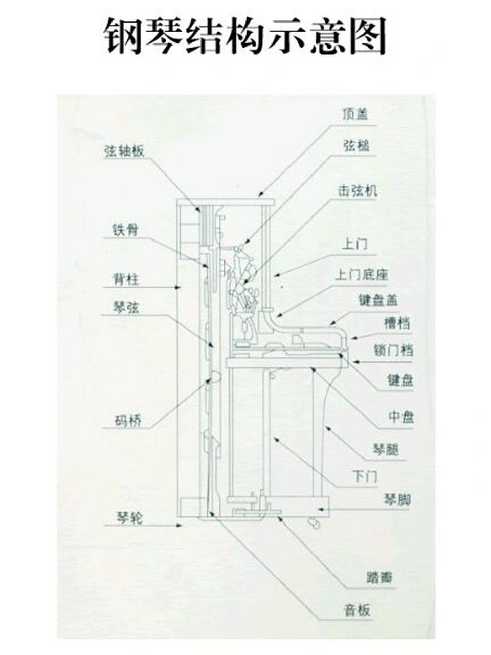 立式钢琴结构图 开车不一定会修车,弹琴的未必会修琴.