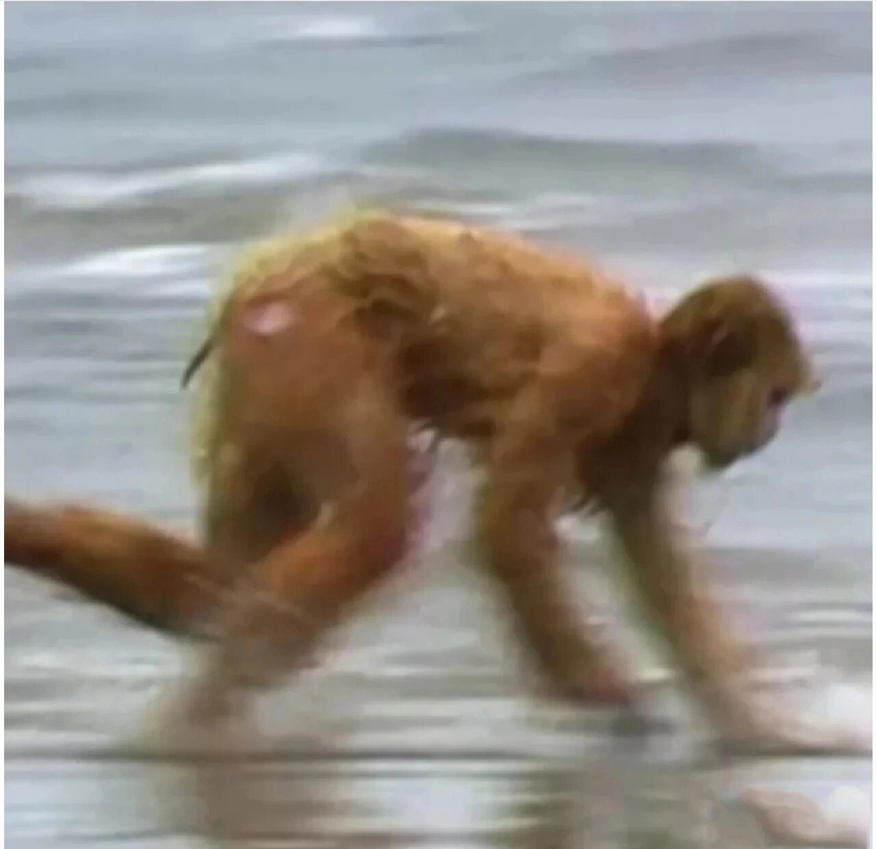 沙雕二人闺蜜头像