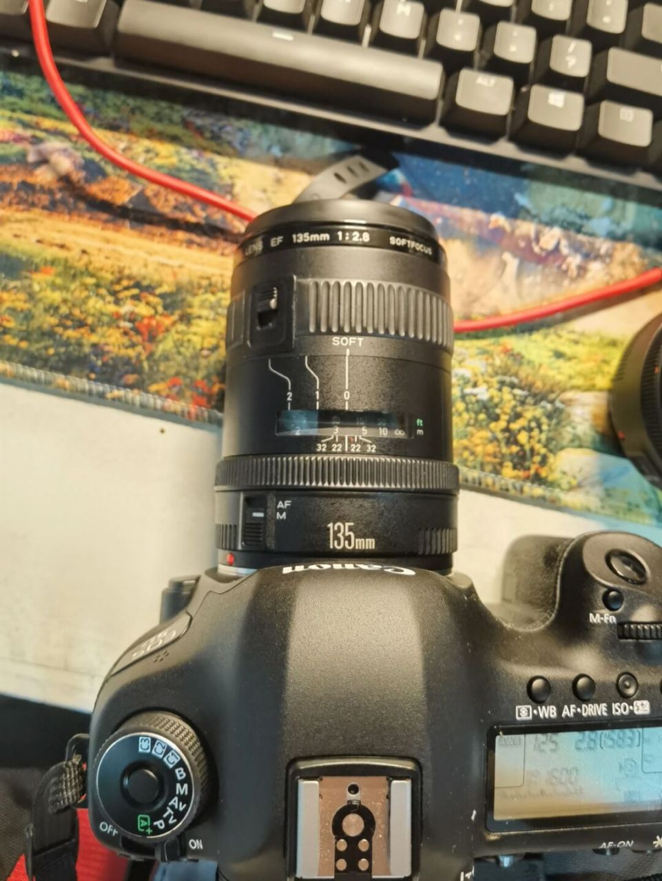 我迷上了手里的这个老头 佳能 ef135mm f2.