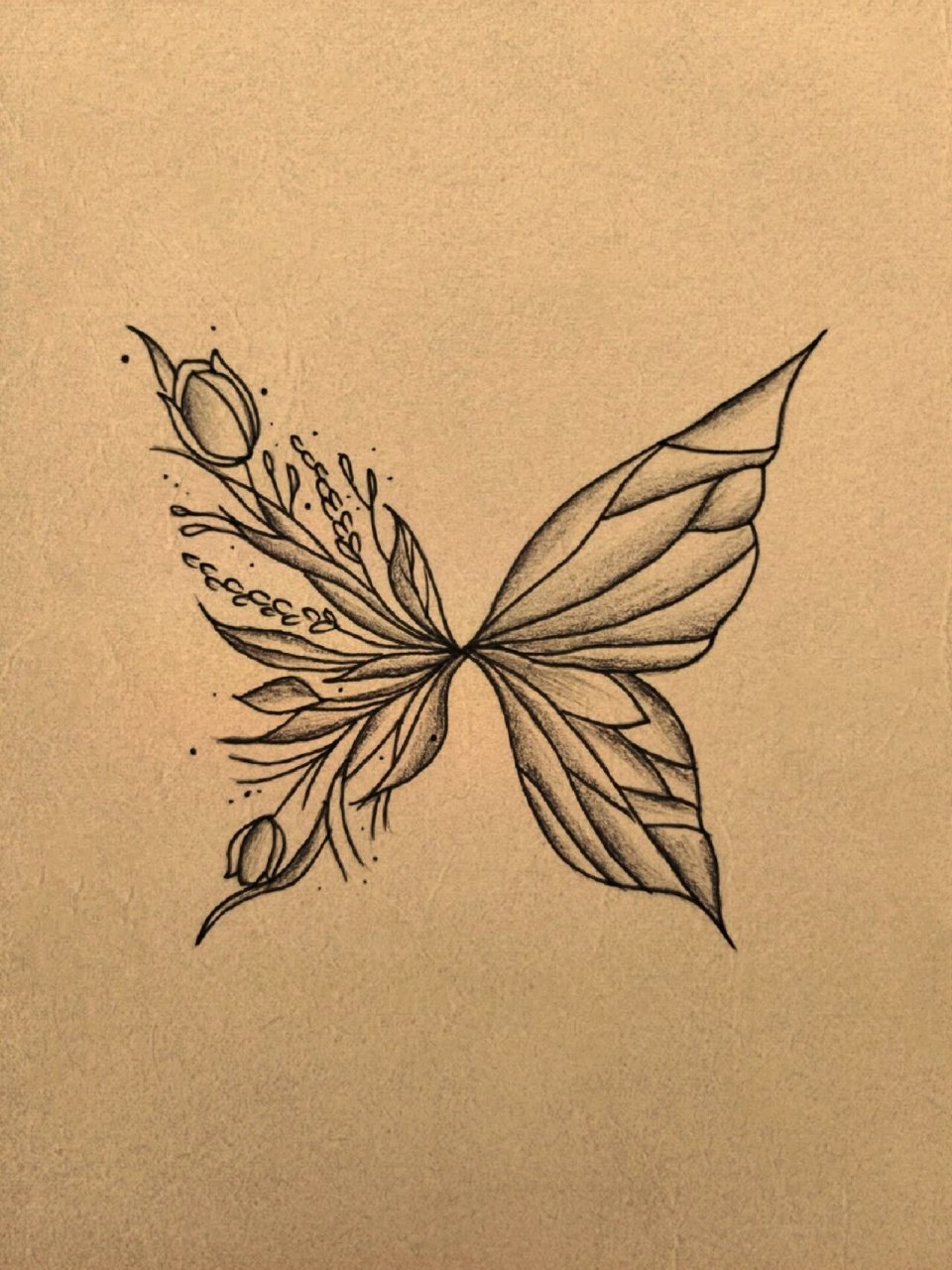 手绘蝴蝶🦋 #纹身# #手绘临摹# #蝴蝶纹身