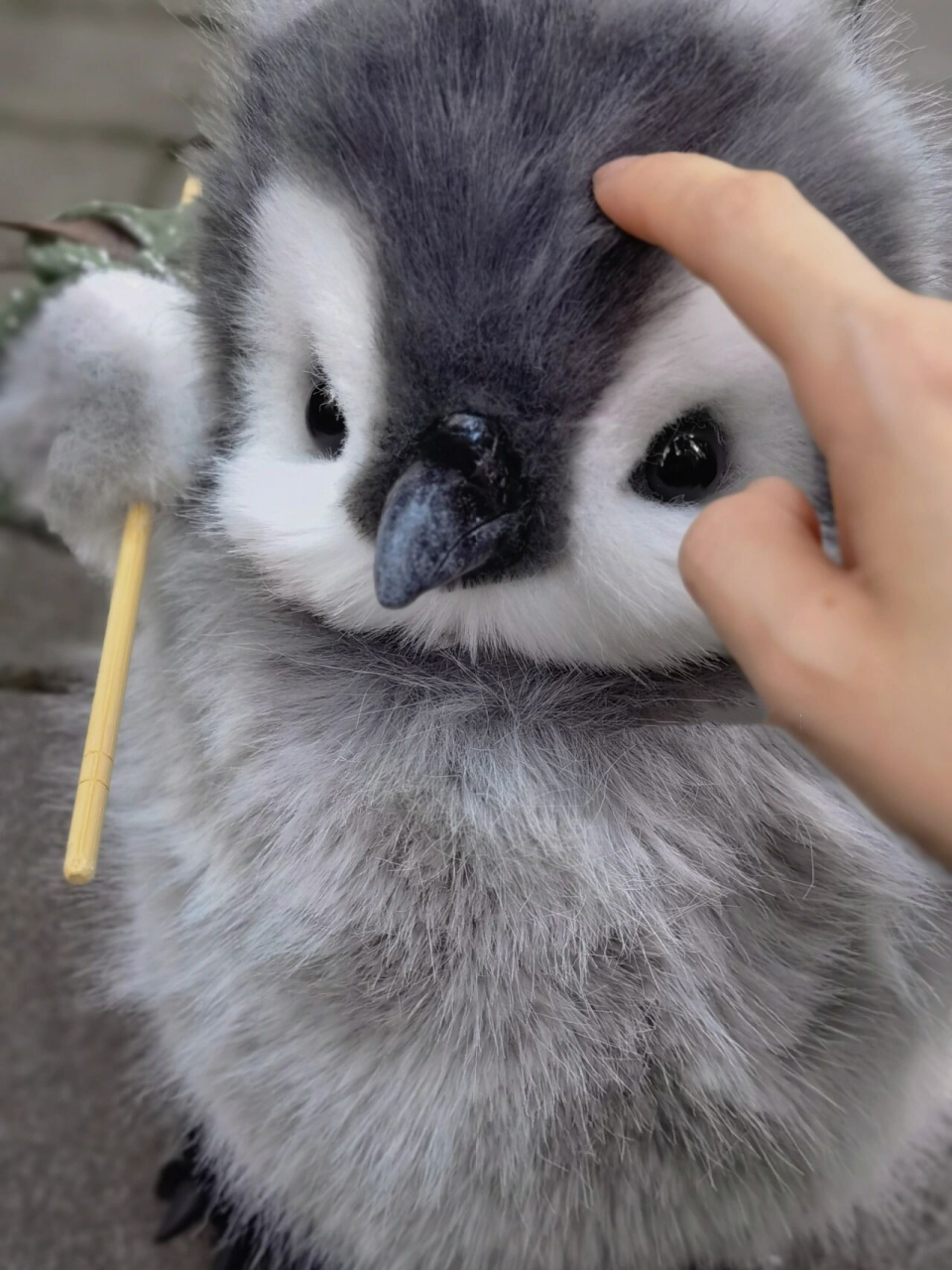 企鹅宝宝(炸毛):"生气了,哄不好了!" 看到它的ee们麻烦把它送回来