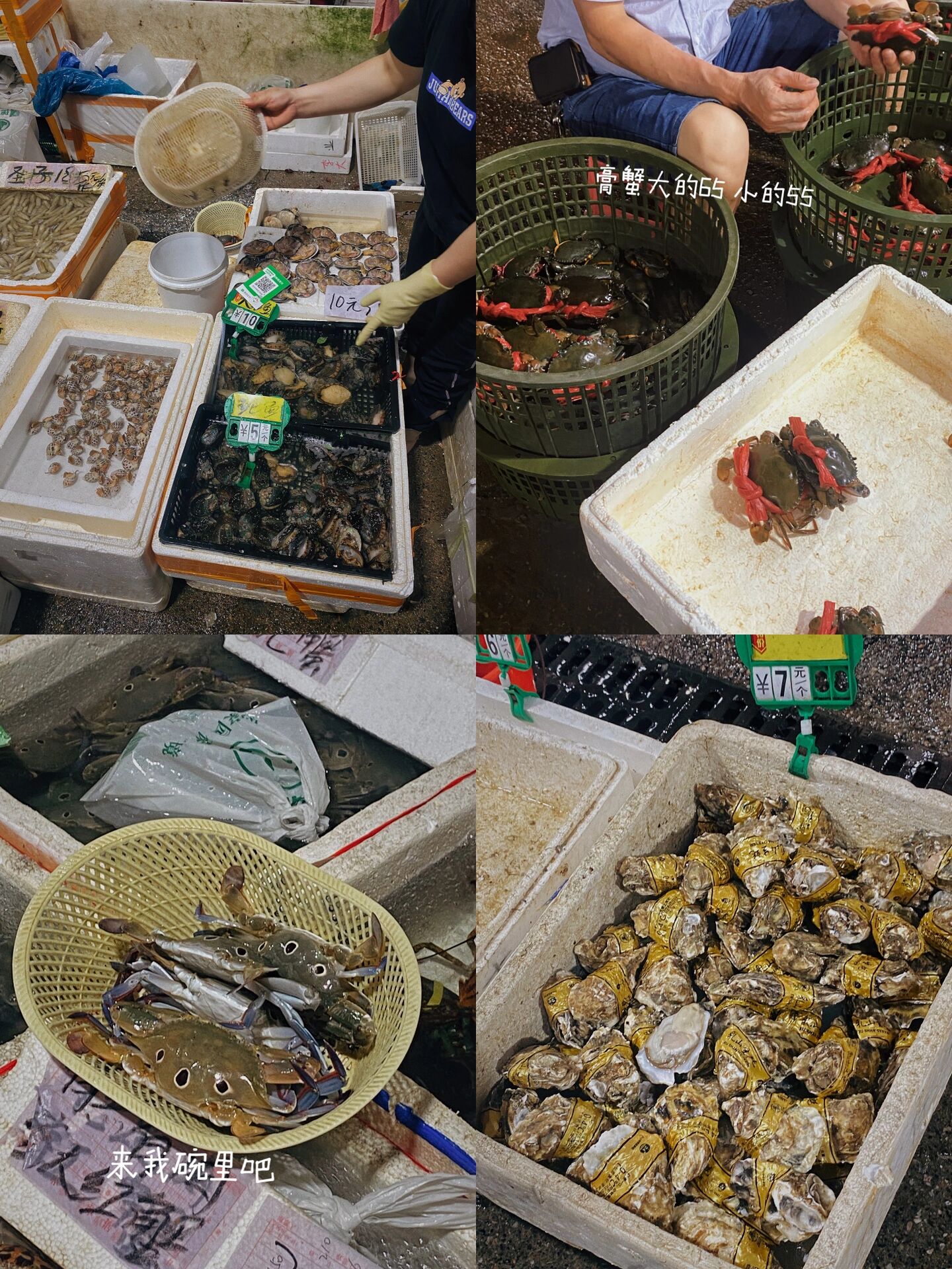 深圳农批市场 海鲜 干货 水果一条街 来这实现海鲜自由 种类太丰富了