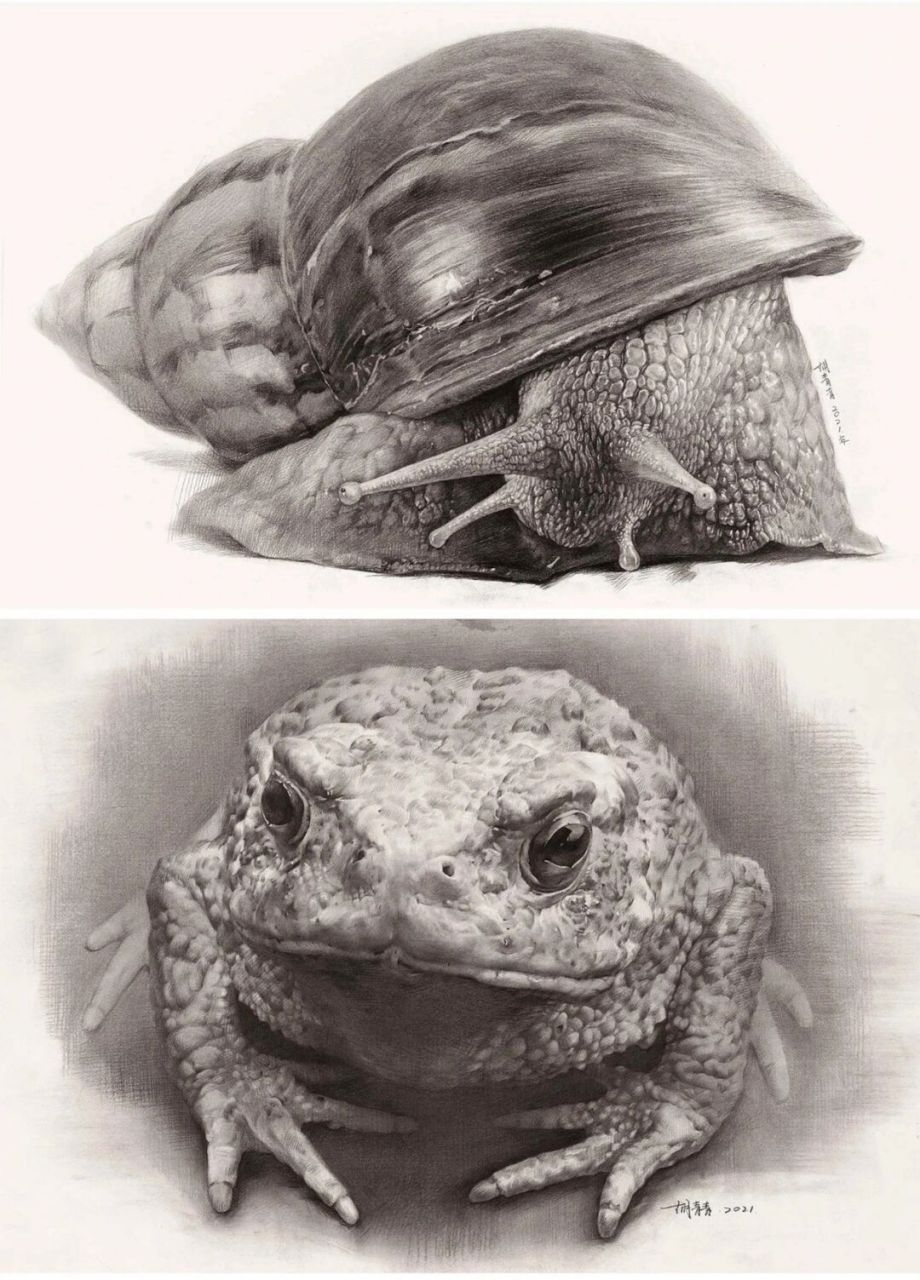 美术生精微素描临摹高清素材 让每一个美术生又爱又恨的精微素描高清