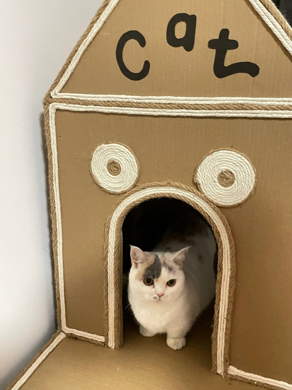 自制猫窝 本想废物利用但是快把自己练废了 耗时一个双休打造的纸箱猫
