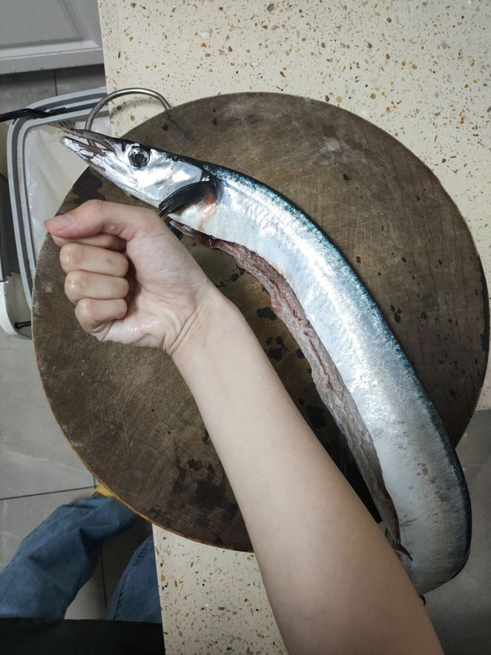 宝宝辅食海鱼——青针鱼 今天解锁了青针鱼,别名长嘴鱼,鄂针鱼,是一种